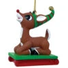 Rudolph Sledding Ornament -Christmas 011976 Rudolph Sledding Ornament 56025.1659013903
