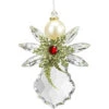 Crystal Expressions Pearl Angel Acrylic Ornament -Christmas 013760 Crystal Expressions Pearl Angel Acrylic Ornament 49087.1654865337