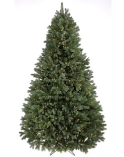 Lit Colorado Spruce Christmas Tree 7.5' X 54D 1000 LEDs Warm White Glow 1935 Branch Tips
