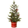 Mini Christmas Tree In Red Box -Christmas 1572 Untitled design 38116.1687161446