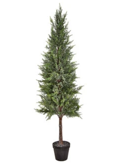 42" Potted Frost Spruce Tree