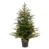 35.5 Inch Unlit Grandis Pine Potted Tree -Christmas 35.5 Inch Unlit Grandis Pine Potted Tree 85684.1693329963