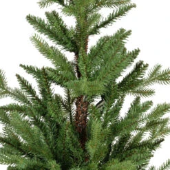Christmas 14 Christmas -Christmas 4 Foot Unlit Allison Pine Tree close 44803.1693401088