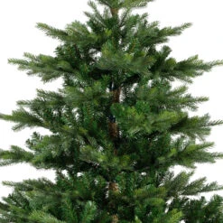 Christmas 11 Christmas -Christmas 5 Foot Grandis Fir Unlit Christmas Tree 1 01090.1692892225