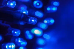 Lumineo 750 LED Blue Lights Green Wire 8 Lumineo 750 LED Blue Lights Green Wire -Christmas Best Blue LED Christmas Lights 960x639 05246.1571347367