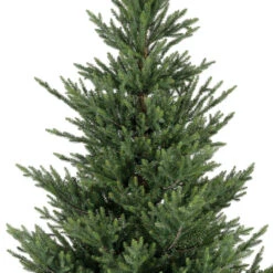 Christmas 18 Christmas -Christmas Everlands Unlit 7 Foot Norway Spruce Tree 1 54031.1694714941