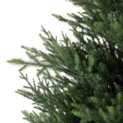 Everlands Unlit 7 Foot Norway Spruce Tree -Christmas Everlands Unlit 7 Foot Norway Spruce Tree 2 74888.1694714940