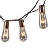 10 Incandescent Bulbs Brown Wire String Light Set -Christmas Everlasting Glow 10 Bulb String Lights bulb 95378.1680277820