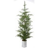 92" Galvanize Potted Natural Touch Nobel Fir Tree -Christmas MTX61243 NAGR 71466.1604159597