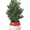 10.5" Cedar Tree In Snowman Container 2 10.5" Cedar Tree In Snowman Container -Christmas NoIpjDow 57400.1617020010