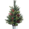 26" LED Potted Forrest Berry Fir Tree -Christmas Screenshot 2021 03 04 at 9.11.28 AM 38851.1614867652