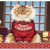 Squeaky’s Christmas Boxed Christmas Cards -Christmas Squeaky1 92675.1605326397