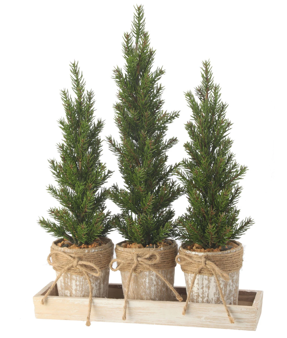 Triple Potted Pine Seedling Tray 3 Triple Potted Pine Seedling Tray