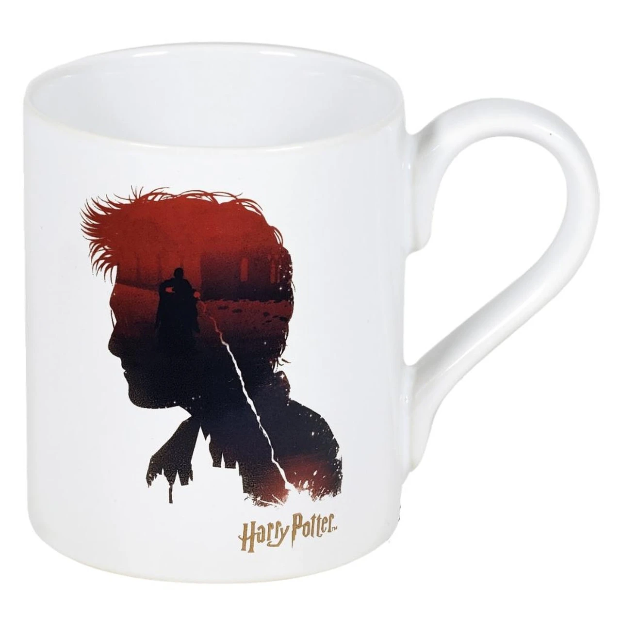 Wizarding World Of Harry Potter Good VS Evil Coffee Mug