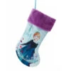 Kurt Adler 19" Disney Frozen Anna Stocking -Christmas dn7216 86948.1627405602